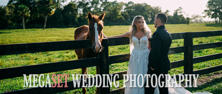 Bride and groom kissing on a farm with horses in the background